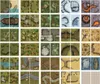 Big Book of Battle Mats Wilds, Wrecks & Ruins - Náhled obrázku produktu 5