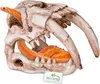 Terrario Lebka Sabertooth - lebka tygra do terária Náhled obrázku produktu 10