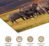 MuchoWow® Poster Elefant - Tiere - Gras - Sonnenuntergang - Produktbild-Vorschau 2