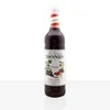 A bottle of Monin Grenadine syrup. Anteprima dell’immagine prodotto