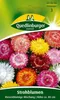 Quedlinburger Saatgut - Strawflower Giant Flower Mixture - Podgląd zdjęcia produktu 3