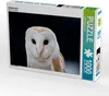 Calvendo Schleiereule 1000 Teile Puzzle quer 640x480mm, Produktbild-Vorschau 1