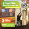 Winterschutz für Palmen 'Mammut' H 360 x B 250 cm Ø 160 cm Produktbild-Vorschau 5