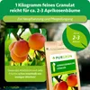 Purgrün -Aprikosenbaum-Dünger 1 kg, Produktbild-Vorschau 4