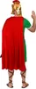 A person wearing a Roman Centurion costume from the back. Anteprima dell’immagine prodotto