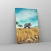 Bilder auf glas - Einteilig - Surreal Elefant Rippen - Produktbild-Vorschau 4