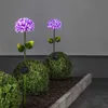 LED-Solarstab 'Hortensia', pink Produktbild-Vorschau 12