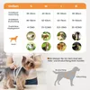 LED Hundegeschirr aufladbar reflektierend, verstellbar mit Produktbild-Vorschau 5