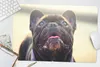 MuchoWow® Schreibtischunterlage Französische Bulldogge - Produktbild-Vorschau 5