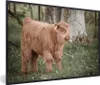 MuchoWow® MuchoWow® Gerahmtes Poster Schottisches Produktbild-Vorschau 1