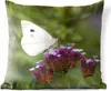 MuchoWow® Outdoor Kissen - Kohlweißling auf kleinen lila Produktbild-Vorschau 1