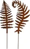 2er Set Rost Gartenstecker Farn 78 cm Edelrost Beetstecker Produktbild-Vorschau 1