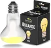 Terrario Bogande Luce solare abbronzante - lampadina Anteprima dell’immagine prodotto 3