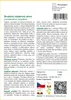 SAFLAX - Skutečný tulipánový strom - Liriodendron Náhled obrázku produktu 3