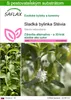 SAFLAX - Sladká bylinka Stévia - Stevia rebaudiana - 100 Náhľad obrázku produktu 1