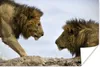 MuchoWow® Poster Löwen - Freunde 90x60 cm - Schlafzimmer Produktbild-Vorschau 1