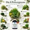 Green Power Greens Top8 Chlorophyll Supergreens 360 Pulver Produktbild-Vorschau 6