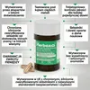 Herboxa LUNGWORT z 550mg miodunki plamistej - Zawiera kwas Podgląd zdjęcia produktu 6