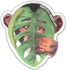 BALDUR Garten 1x Monstera Monkey Leaf, Pflanze im 12 Produktbild-Vorschau 4