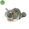 RAPPA Plüsch Chinchilla 22 cm ECO-FRIENDLY Produktbild-Vorschau 7