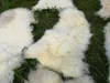 Öko Schaffell Hell – Echtes Lammfell, , Schnäppchen, eher Produktbild-Vorschau 10