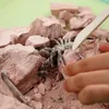 4M DIY set Creepy crawly digging Produktbild-Vorschau 5