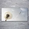 Acrylglasbilder 120x60 Wandbild Druck Pusteblume Pflanzen Produktbild-Vorschau 2