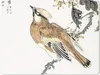 MuchoWow® Mauspad Mousepad Japanisch - Vogel - Baum 23x19 Produktbild-Vorschau 1