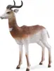 Collecta Gazelle Dame L Figur Braun 3-6 Years Braun 3-6 Produktbild-Vorschau 1