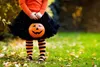 Hl33 Wiaderko Pojemnik  Dynia Na Cukierki Duże Halloween Podgląd zdjęcia produktu 7