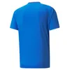 Puma Teamvision Trikot Kurzarm Herren - Royal  | Größe: XL Produktbild-Vorschau 2