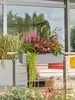 LECHUZA-Pflanzgefäß BALCONERA Stone 80 Steingrau | Produktbild-Vorschau 4