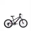 Bicicletta per bambini da 20 pollici, 6 marce, MTB per Anteprima dell’immagine prodotto 1
