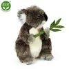 Peluche koala 30 cm ECO-FRIENDLY Voir les images du produit 7