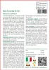 SAFLAX  - Non ti scordar di mé - 150 semi - Myosotis Anteprima dell’immagine prodotto 3