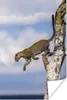 MuchoWow® Poster Leopard - Baum - Sprung 80x120 cm - Produktbild-Vorschau 2