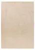 Teppich Surfacer 225 Beige 160x230 cm – Pflegeleicht & Produktbild-Vorschau 2