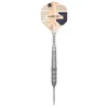 Obiettivo Raymond van Barneveld Barney25 Swiss Point 95% - Anteprima dell’immagine prodotto 3