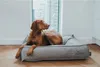 Hunter Hundebett Lancaster.., Größe:M, Farbe:grau Produktbild-Vorschau 13