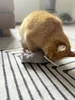 Aumüller Katzenspielkissen mit Baldrian - Ratte Cedric Produktbild-Vorschau 8