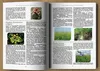 Das verlorene Buch der Kräuterheilmittel: Die heilende Produktbild-Vorschau 5