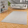 Natur Teppich Wolle Berber Grau Meliert, Größe:300x300 cm Produktbild-Vorschau 1