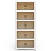 Faltbarer Aufbewahrungsschrank 50 x 31,5 x 138 cm, 5 Ebenen Produktbild-Vorschau 1