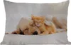 MuchoWow® Outdoor Kissen - Tiere - Hund - Kätzchen - Rot - Produktbild-Vorschau 1
