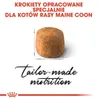 Royal Canin Feline Maine Coon - 4 kg Voir les images du produit 3