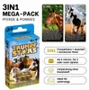 Kartenspiel Trumpfstars Pferde und Ponys 3 in 1 Produktbild-Vorschau 2