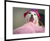 MuchoWow® MuchoWow® Gerahmtes Poster Katze - Kissen - Mütze Produktbild-Vorschau 1
