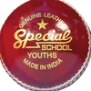 Čtenáři - kožený kriketový míč "Special School" pro děti Náhled obrázku produktu 3