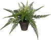 Mica Decorations Farn Kunstpflanze im Blumentopf Stan - H38 Produktbild-Vorschau 1