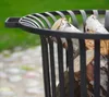 CookKing vuurkorf "Verona", zwart Productafbeelding-voorbeeld 24